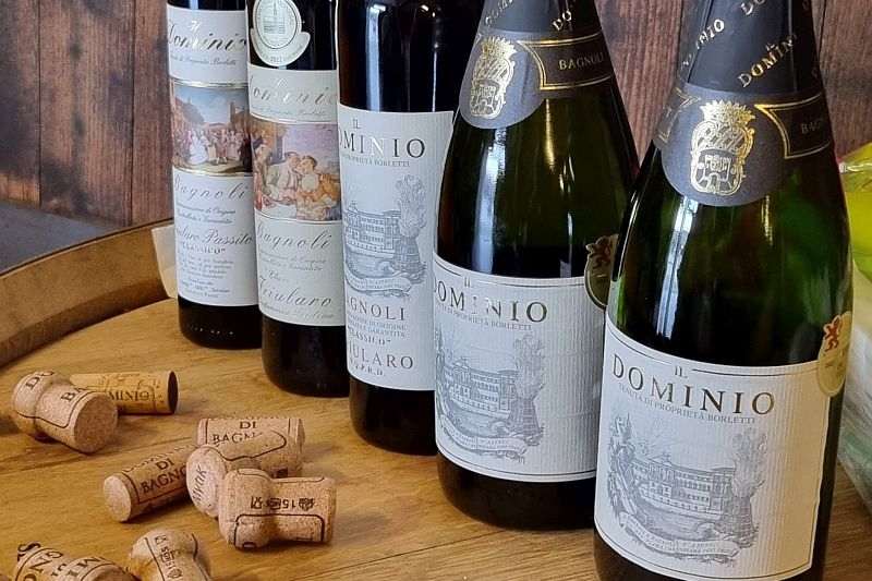 Exporting Italian Wine to Japan
