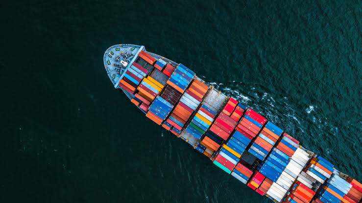 Single-Point-of-Accountability: Why One Partner for Import and Distribution Matters in Japan