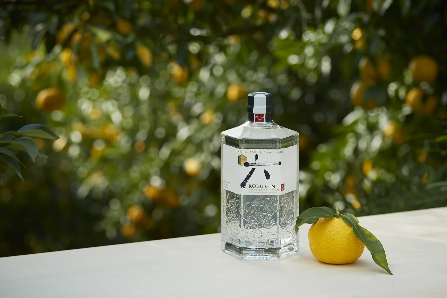 Importing Gin Into Japan: Botanicals, Classification and Positioning